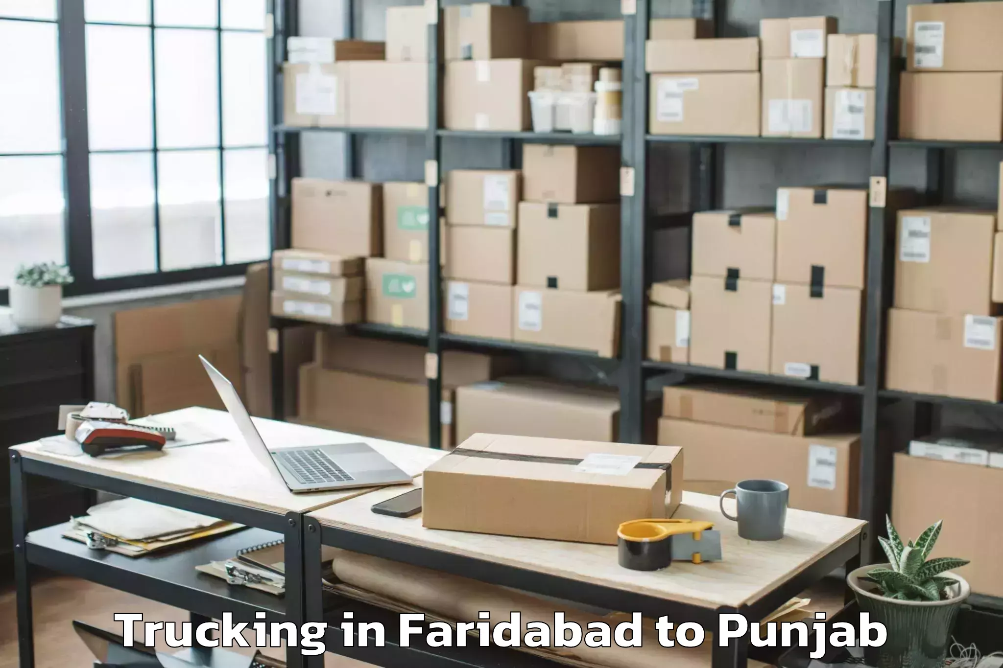 Book Faridabad to Omaxe Novelty Mall Trucking Online